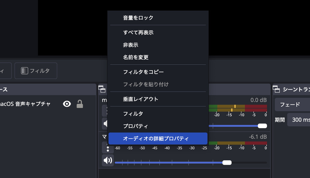 「オーディオの詳細プロパティ」を開く