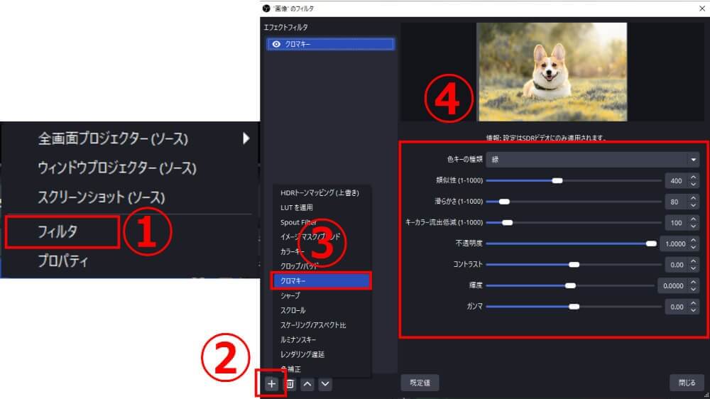 クロマキー機能を全画面表示と組み合わせる