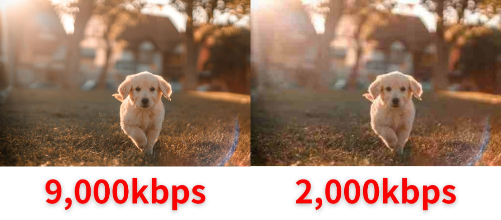 ビットレート別の画質比較